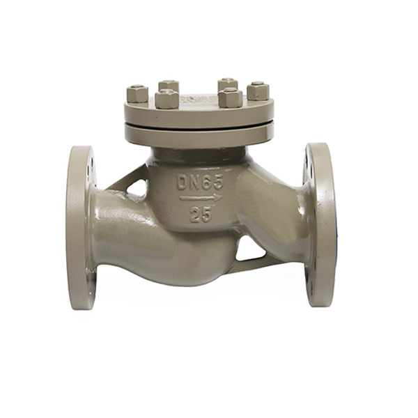 CBT3944-02 Cast Iron Flange check valve
